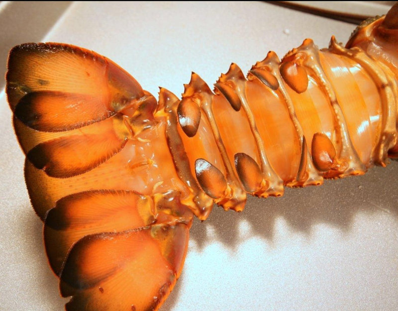 Raw Australian Lobster Tail - 200g min.