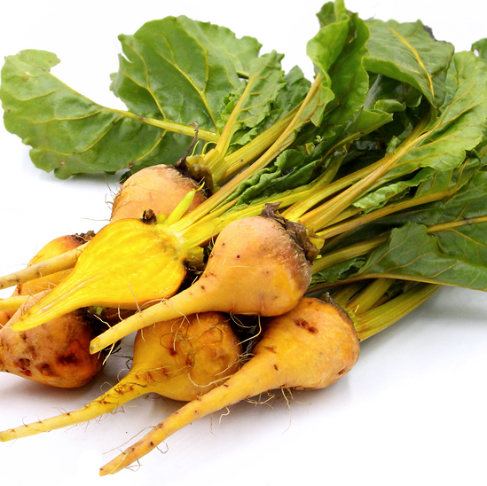 Beetroot Baby Gold (Bunch)