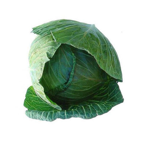 Green Cabbage Whole - Organic Each