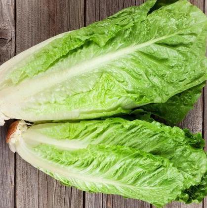 Lettuce Cos (Each)