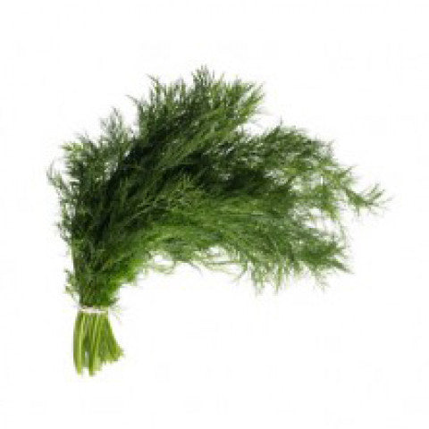 Dill - Organic Bunch