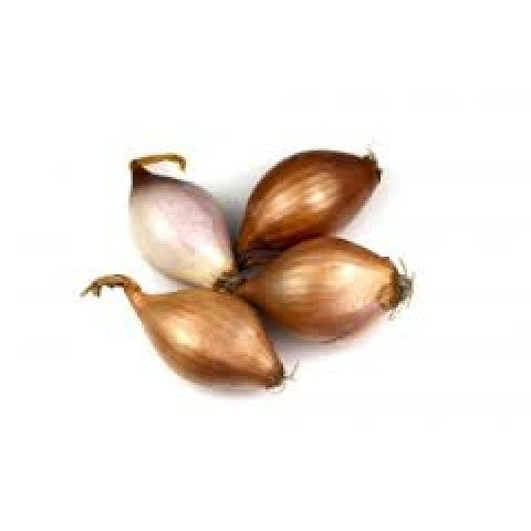 French Shallots - Organic 100g