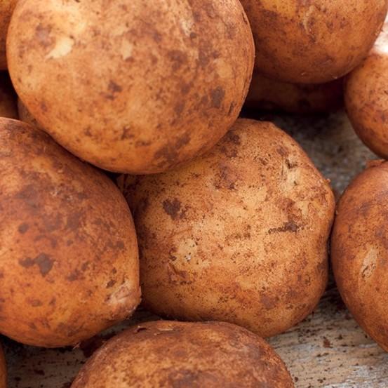 Potatoes Brushed (Kg)
