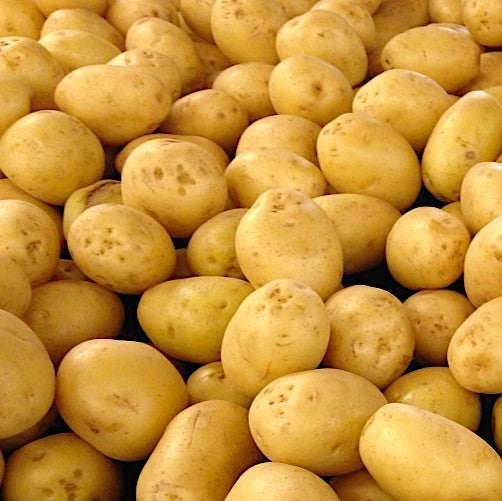 Potatoes Washed (Kg)
