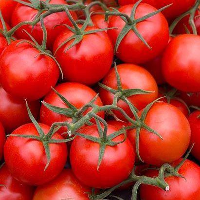 Tomatoes Truss (Kg)