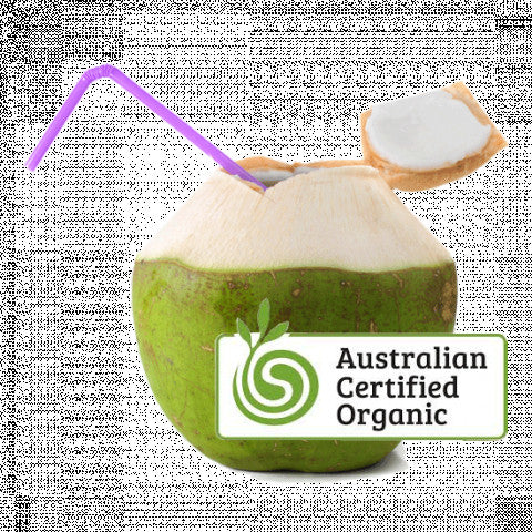 Coconuts Easy Opening - Organic Each