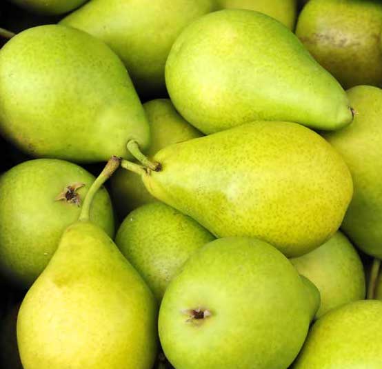 Pears  Packham (KG)