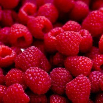 Raspberries (Punnet)