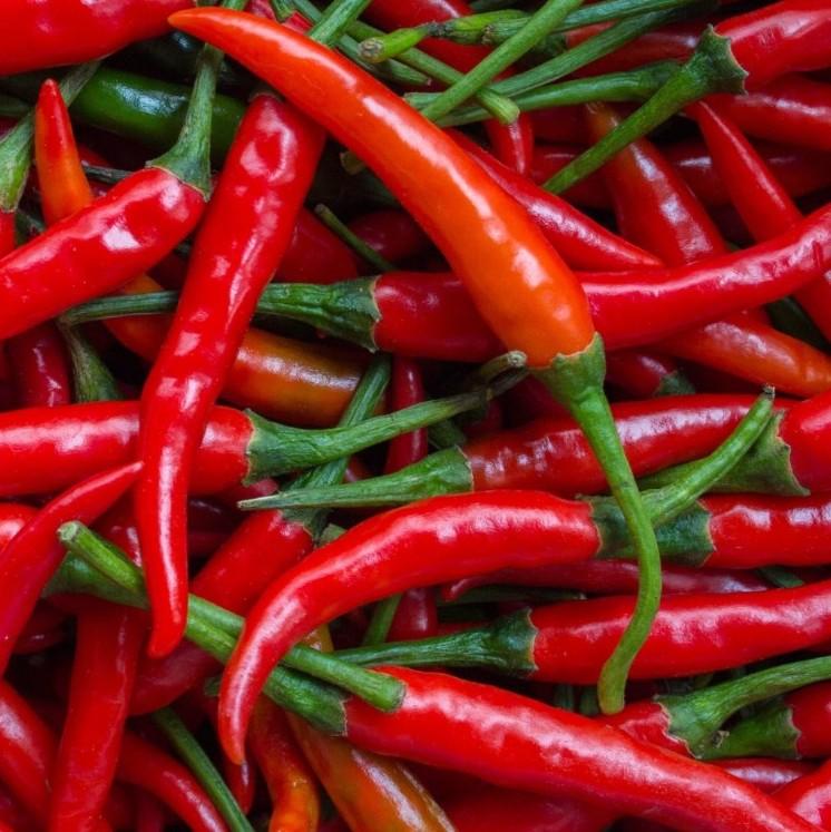 Chilli Red Long - 250g