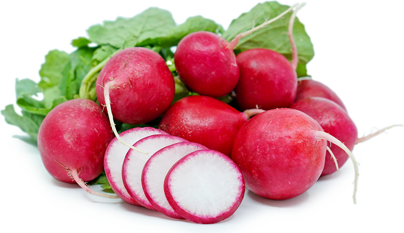 Radish Red (Bunch)