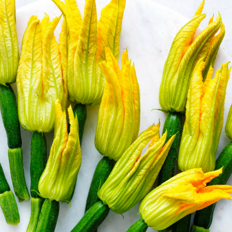 Zuchinni Flowers Female (w/zucchini) (Punnet)