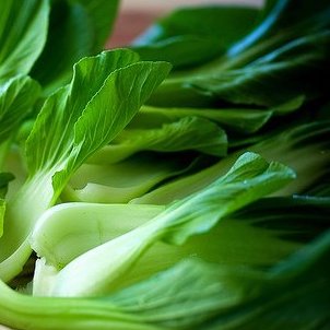 Bok Choy Baby (Bunch)