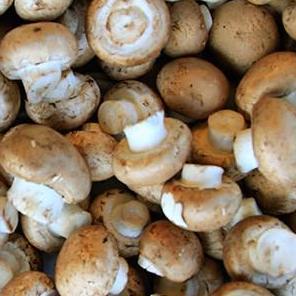 Mushrooms Swiss Brown (Punnet)