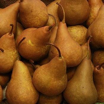 Pears Beurre Boss (Kg)