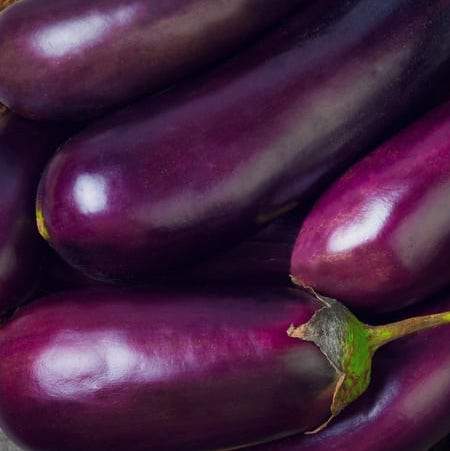 Eggplant 500g (mini pack)