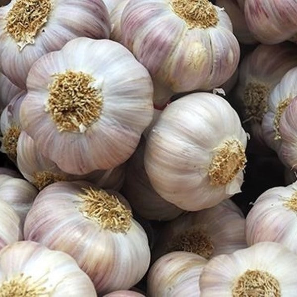 Garlic (200g)