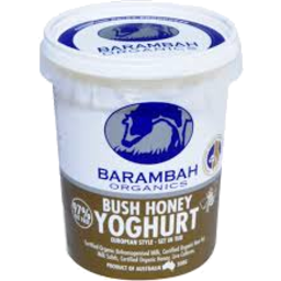 Barambah Organics Bush Honeyyoghurt 500G