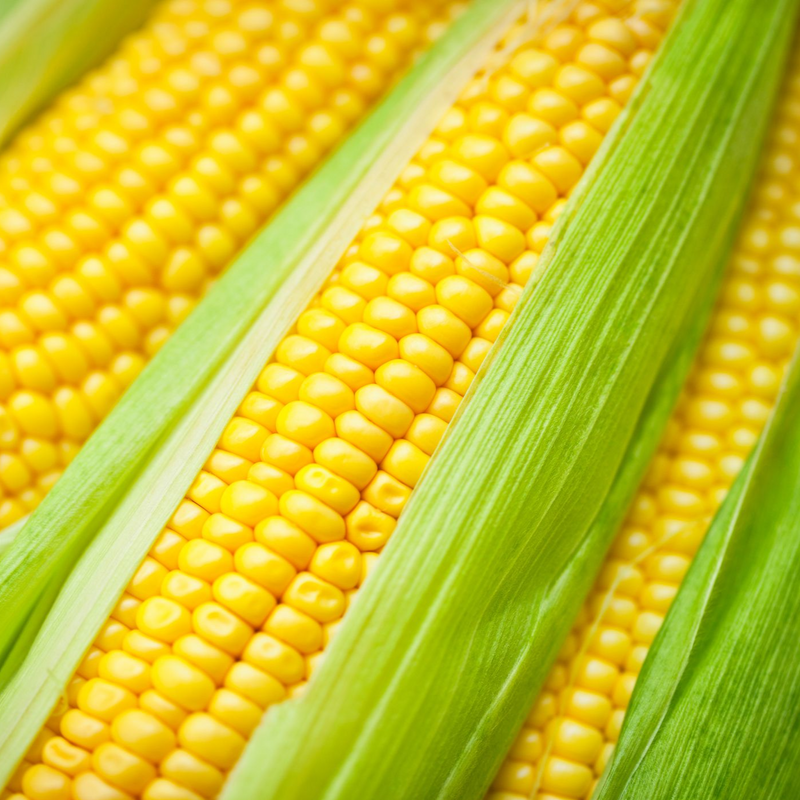 Corn (Each)