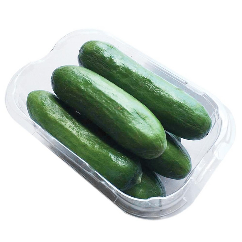 Sweet Baby Cucumbers (punnet)