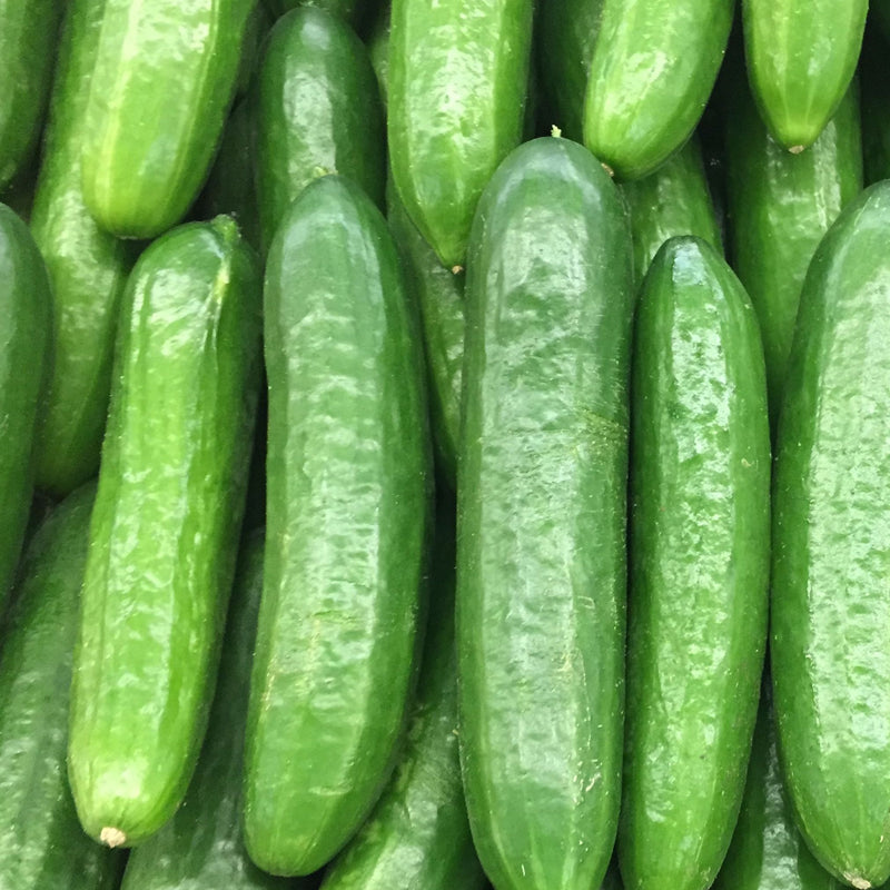 Cucumber  - Lebanese (500g)