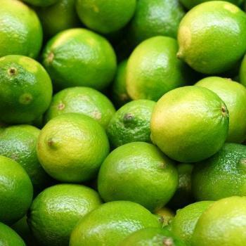 Limes (Kg)