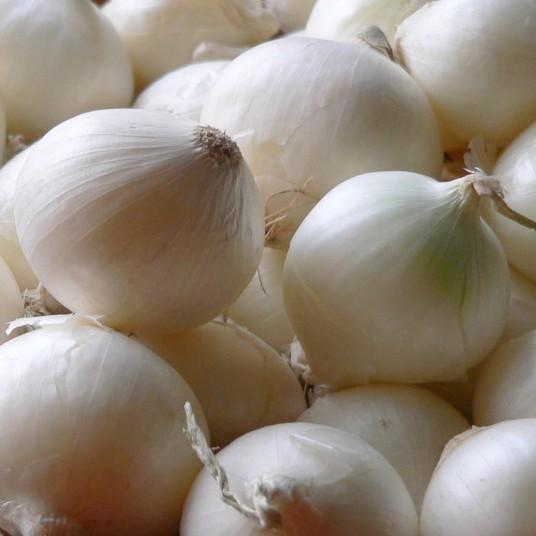 Onions Medium White (Kg)