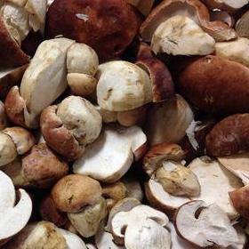 Mushrooms Porcini (Packet)