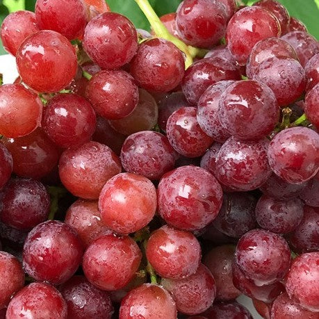 Grapes Red Seedless (Kg)