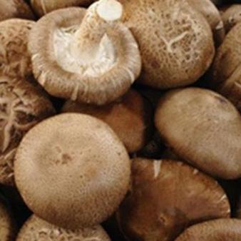 Mushrooms Shitaki (Punnet)