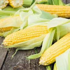 Corn Sweet (each)
